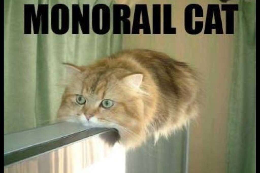 Le chat monorail -
