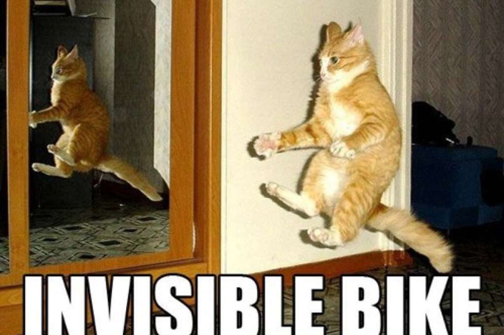 Le chat au vélo invisible - Les LOLcats aiment les objets invisibles! C'est une règle du genre.