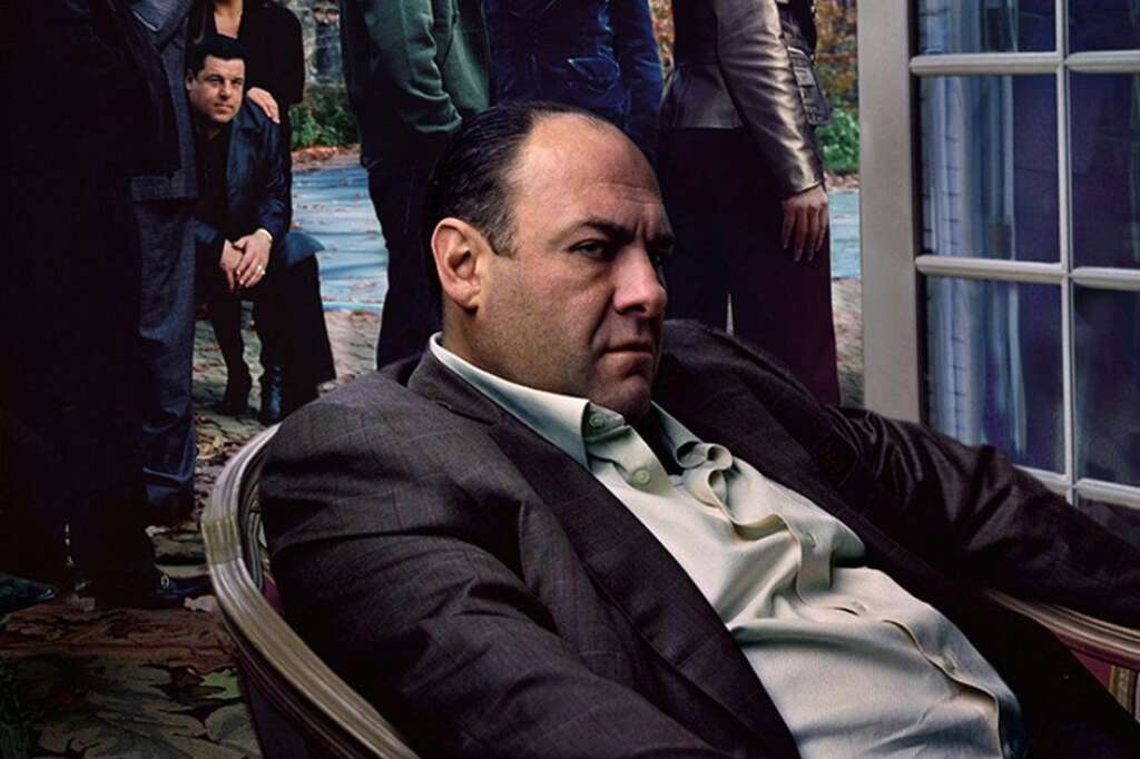 Tony Soprano, "Les Soprano" -