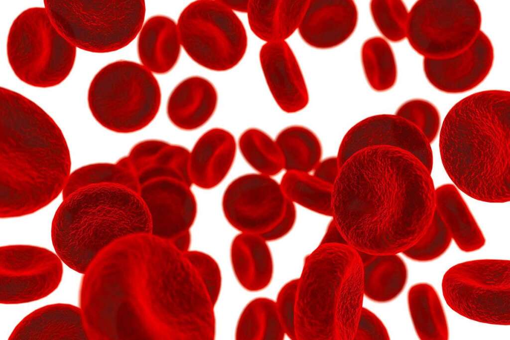 1930 : les groupes sanguins - Découverts en 1900 par Karl Landsteiner, les groupes sanguins ont permis de comprendre pourquoi certaines transfusions sanguines fonctionnaient alors que d'autres pas. Depuis, chaque fois que vous donnez votre sang, les médecins classe votre sang en fonction de son groupe. De la même manière, si l'on doit vous transfuser du sang, on veillera à vous donner du sang du même groupe, à moins que votre sang n'appartienne au groupe O, qui est universel.