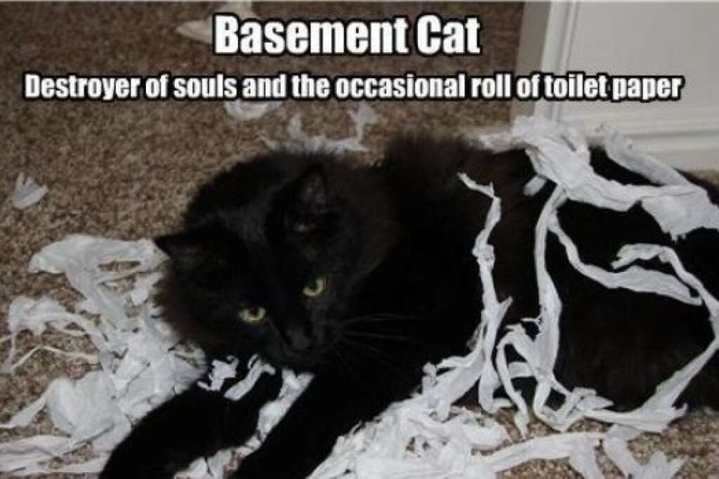 Le Basement Cat ou le chat du sous-sol - Si le Ceiling Cat (image précédente) est l'équivalent du Dieu chat dans la Bible du LOLcat, le chat du sous-sol est Satan. Tout chat noir à l'allure sournoise pourra être utilisé pour illustrer cette figure mystique.