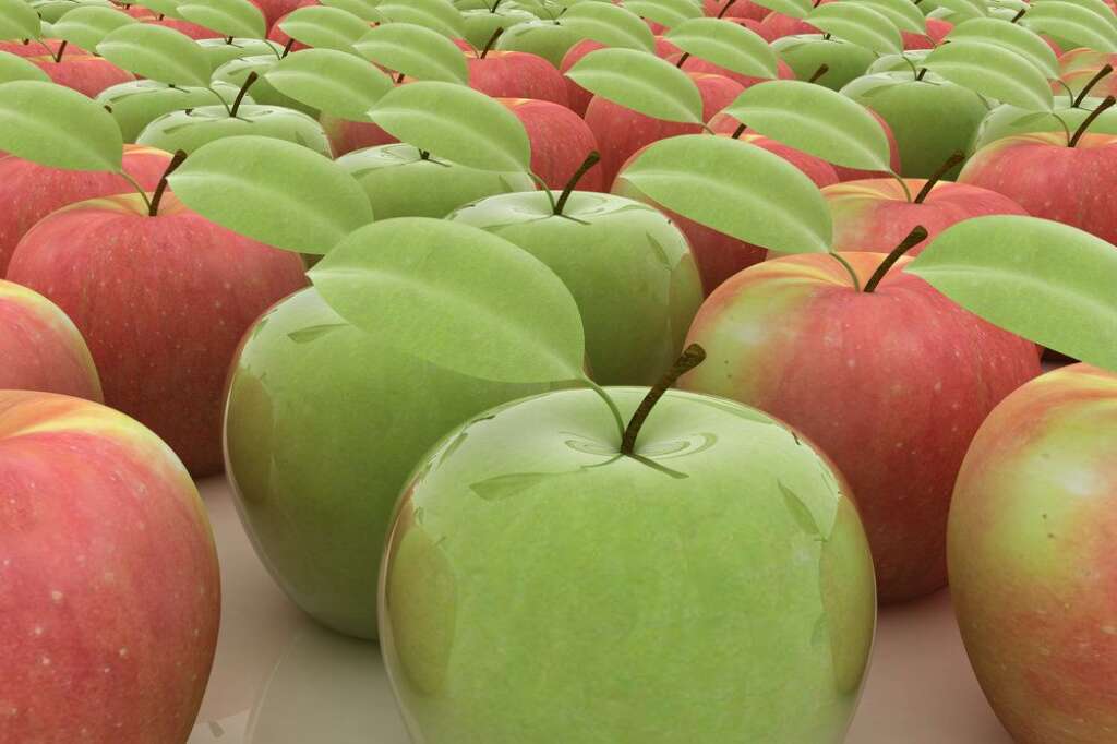Pommes - <strong>MYTHE:</strong>Une pomme par jour éloigne le docteur.    <strong>VÉRITÉ:</strong>Vrai. Une étude a démontré que les pommes diminuent les risques de crises cardiaques de 32 %. Elles sont également une bonne source de viamines, minéraux et d'antioxydants.