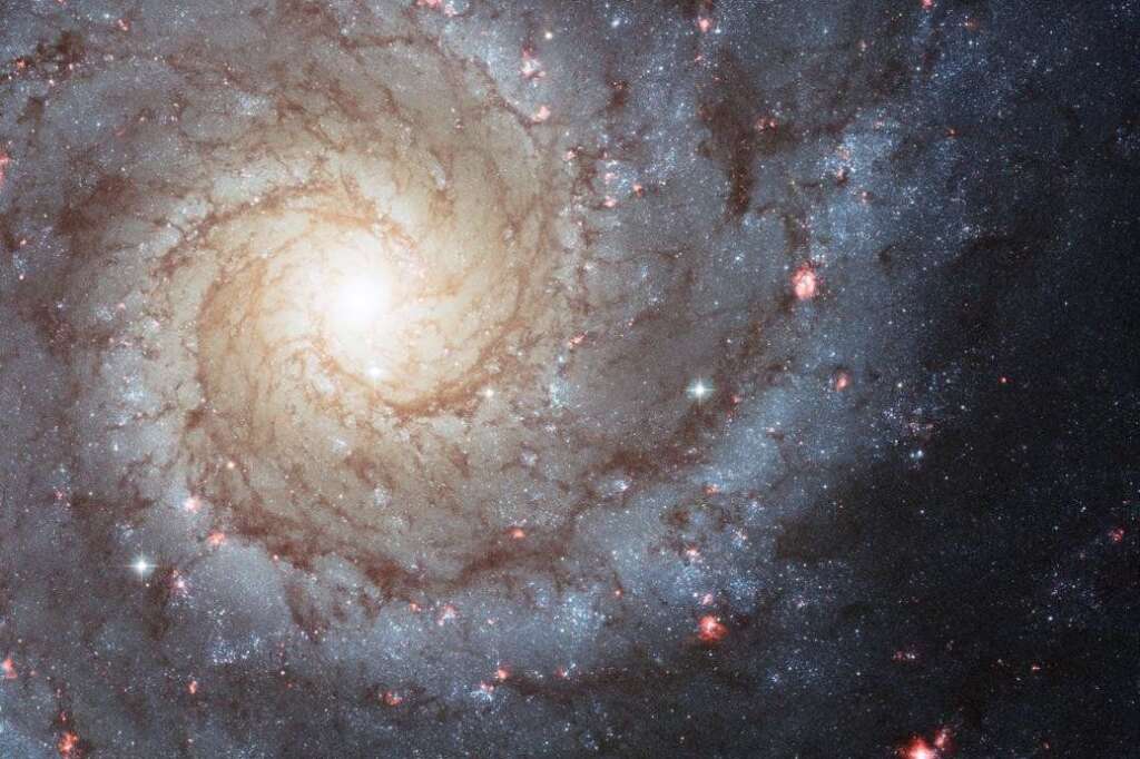 La galaxie à spirale M74 -
