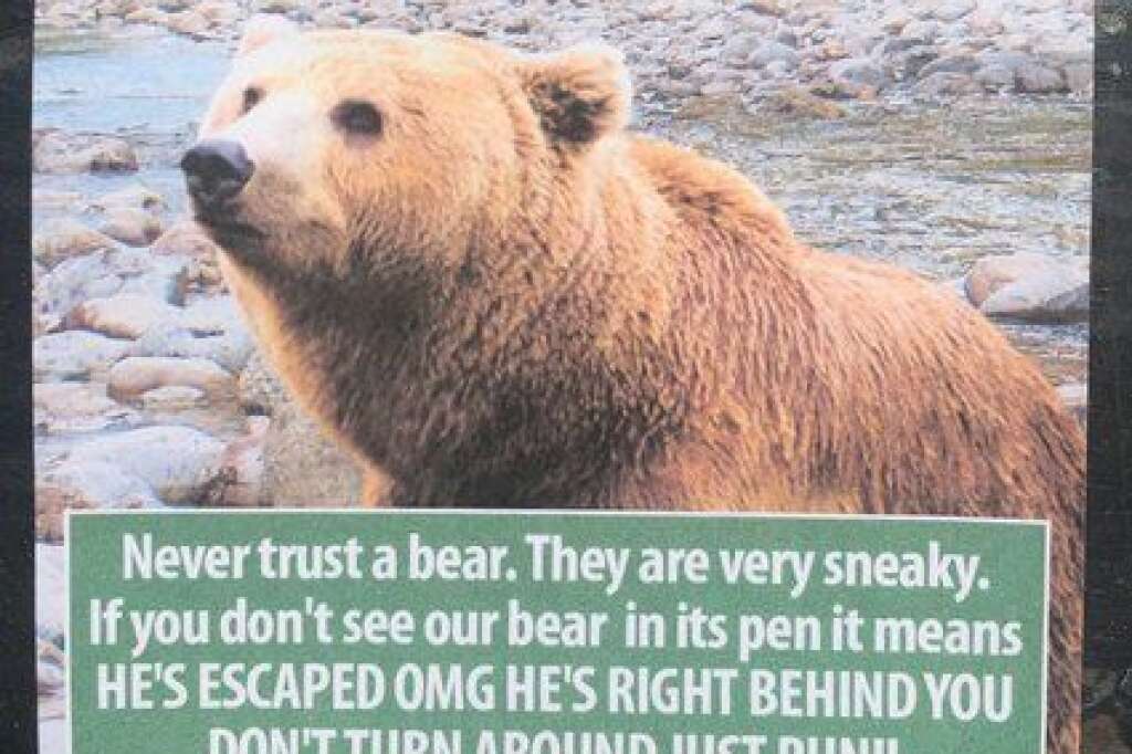 - «Ne faites jamais confiance à un ours. Ils sont très sournois. Si vous ne voyez pas notre ours dans son enclos, cela signifie qu'IL S'EST ÉCHAPPÉ OH MON DIEU IL EST JUSTE DERRIÈRE VOUS NE VOUS RETOURNEZ PAS COUREZ!!»