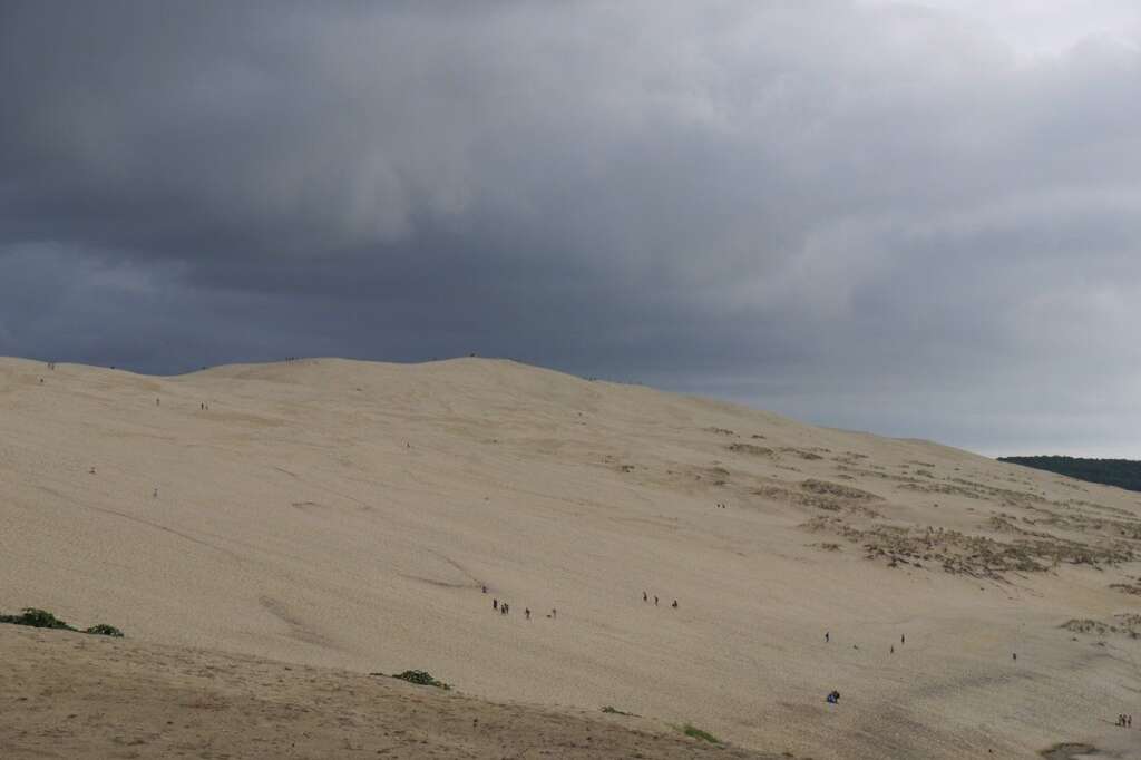 Le Sahara: La Dune du Pilat en Gironde - La dune du Pilat est la plus grande dune d’Europe. Elle est également fréquentée par de nombreux visiteurs et s'élève à 109 m, mais sa hauteur varie selon les années.  Située à l'entrée du Bassin d'Arcachon, la dune du Pilat fait face à la Pointe du Cap-Ferret. Depuis 1978, le titre de « Grand Site » lui a été conféré par le ministère de l'Environnement, et la dune du Pilat a été classée au titre des monuments naturels et des sites en 1994. Le gigantisme du site est saisissant, on se prend à rêver des sables du désert. Avec toutefois, au pied de la dune, l’océan Atlantique.