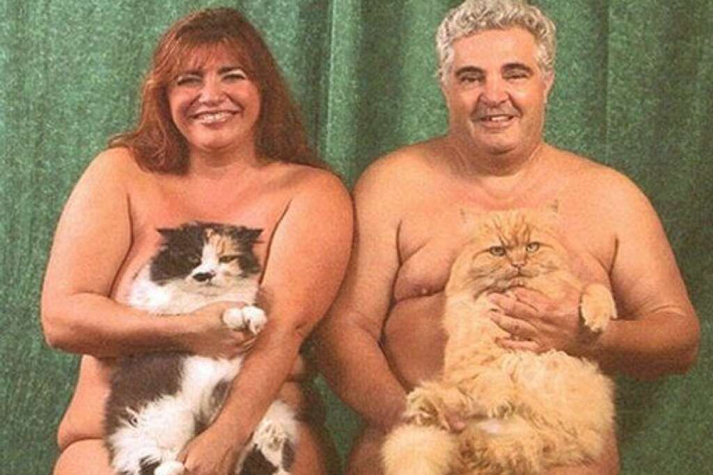 Une nouvelle version du lolcat - <a href="http://awkwardfamilyphotos.com/">Crédit</a>  C'est les chats qui ont l'air heureux