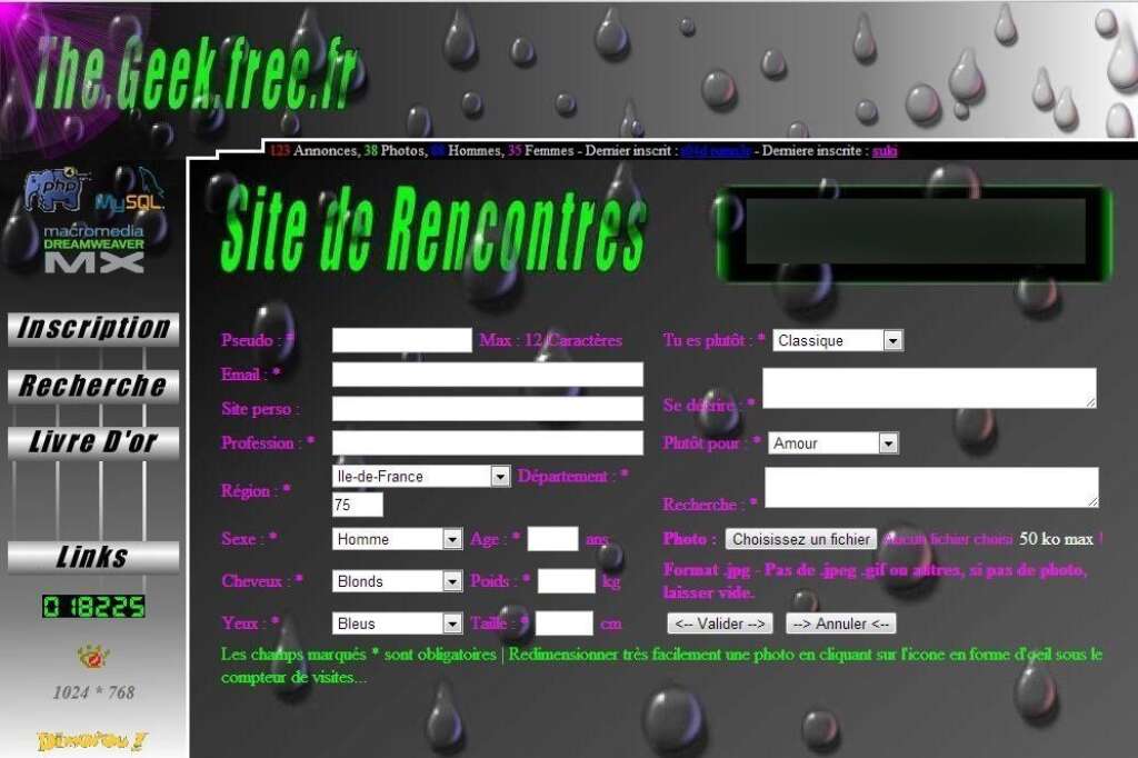 The Geek - Le plus geek des sites de rencontre pour les geeks. Et il est français, tendance 1997, page personnelle sur Multimania avec le compteur de visites et tout. Ne riez pas. Ce site est précurseur.