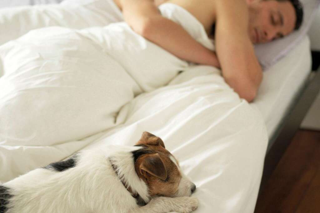 Propriété privée! - Tenez les enfants et les animaux éloignés de votre chambre à coucher. C'est parfois difficile, mais vous y gagnerez en tranquillité. Sauf si on s'agite devant votre porte.