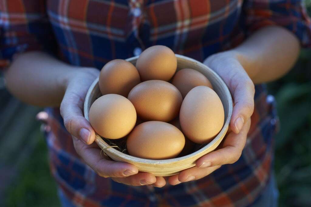 Les œufs - L’œuf est très riche en protéines. Pour que cet aliment vous coupe la faim, il faut manger obligatoirement le blanc. Les protéines présentes dans l’œuf sont difficiles à digérer pour notre corps ce qui vous procure une sensation de satiété immédiate et long.