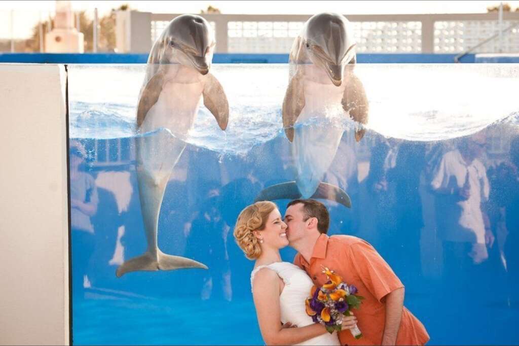 Double Take - Forget acrobatic flips and other tricks — this dolphin duo stole our heart by popping up to watch this couple's just-married kiss.  <span style="font-size:10px;"><em>Photo Credit: <a href="http://www.sarahben.com/" target="_blank">Sarah & Ben Photography</a></em></span>  <i>Have a photobomb of your own that you'd like to share? Upload your pic to <a href="https://www.facebook.com/bridalguide" target="_hplink">BG's Facebook page</a> or<a href="http://instagram.com/bridalguide" target="_hplink">submit it to us via Instagram</a> (be sure to include the hashtag #bgphotobombs) and we may add it to our list!</i>