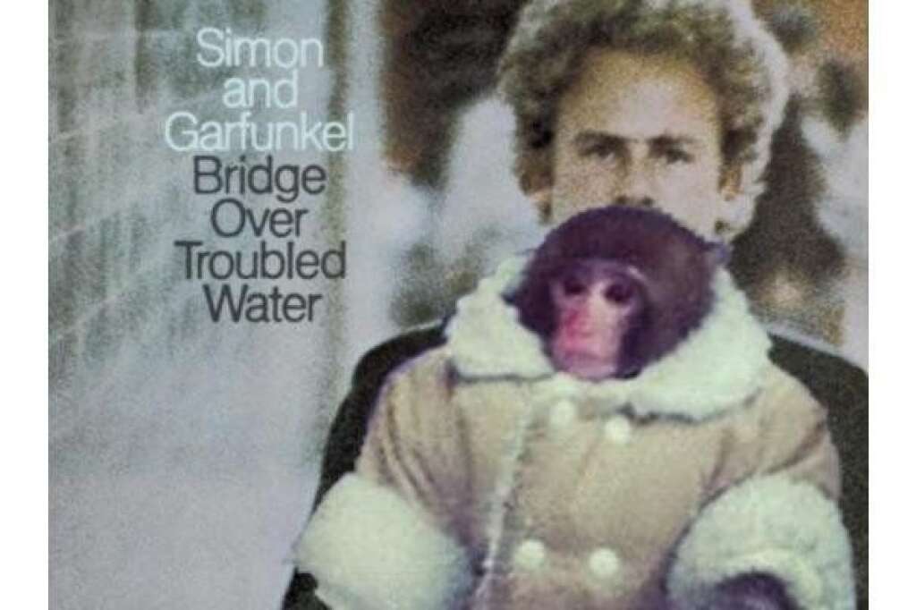 Le nouveau Simon et Garfunkel -