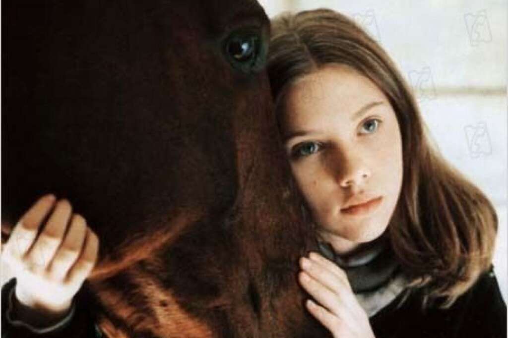 L'homme qui murmurait à l'oreille des chevaux, 1998 -