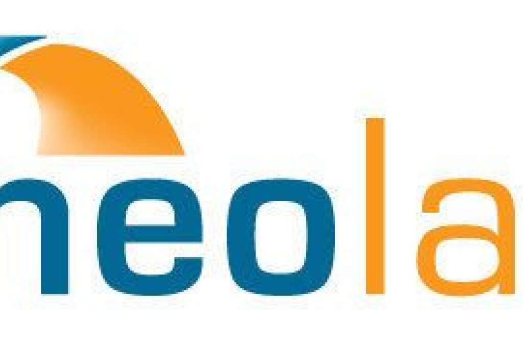Neolane racheté par Abode - Neolane a été racheté par le géant américain Adobe en juin 2013. Montant de l'opération: 460 millions d'euros. L'entreprise française est un éditeur de logiciels dédiés à la gestion marketing et à la relation client.