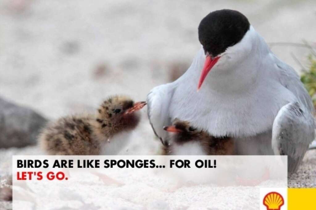 "Les oiseaux sont comme des éponges. Pour le pétrole." - via arcticready.com/ soumis par MattY
