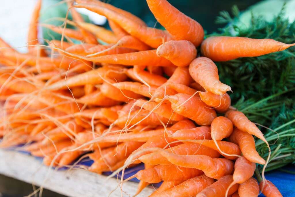 La carotte - Index glycémique de la carotte (cuite) : 85