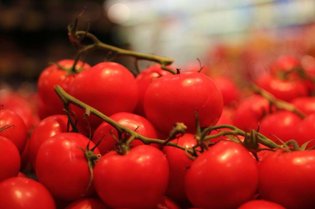 Tomates - <strong>Pourquoi on les aime:</strong> 180g de pulpe de tomate contiennent un tiers de l'apport journalier recommandé en vitamine C et près d'un tiers de l'apport en vitamine A. Les tomates sont aussi riches en vitamines B6, E et K, en acide folique, en fibres et en potassium. Ces fruits-légumes sont connus pour leur <a href="http://www.nutranews.org/sujet.pl?id=460" target="_blank">lycopène</a>: ce puissant antioxydant aurait des bienfaits dans la lutte contre certains cancers et renforce le système cardiovasculaire.  <strong>Comment les déguster:</strong> Préférez les tomates fraîches aux conserves, qui présentent un risque d'exposition à un perturbateur endocrinien, <a href="http://www.huffingtonpost.fr/2012/12/13/linterdiction-du-bispheno_n_2291145.html" target="_blank">le bisphénol A</a>. En plus de pouvoir les ajouter à vos sandwichs et vos salades, les tomates font bien sûr de très bonnes sauces. La meilleure option pour l'été reste la soupe de tomates froide, à moins d'opter pour une cuisson au grill.