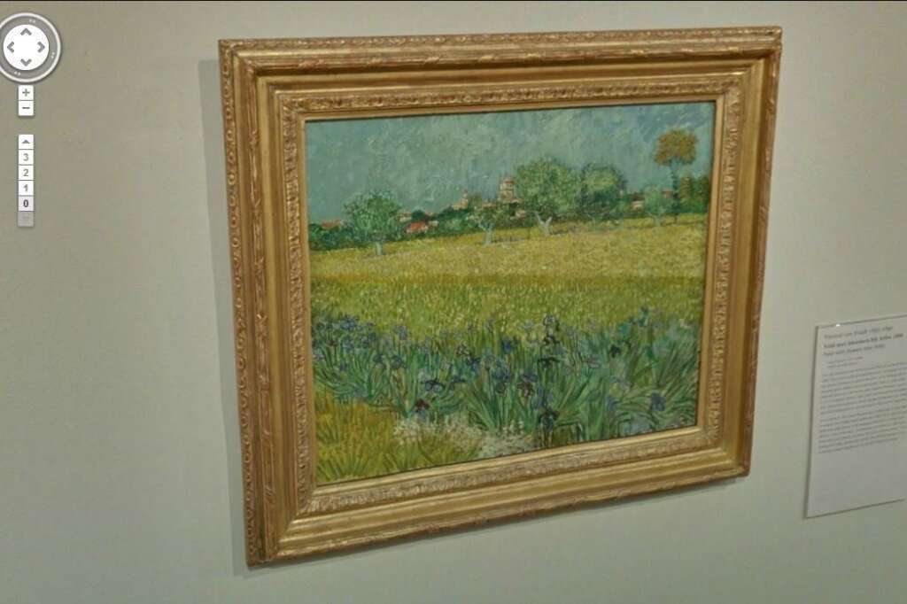 9. Van Gogh : Cahmps de fleurs près d'Arles -