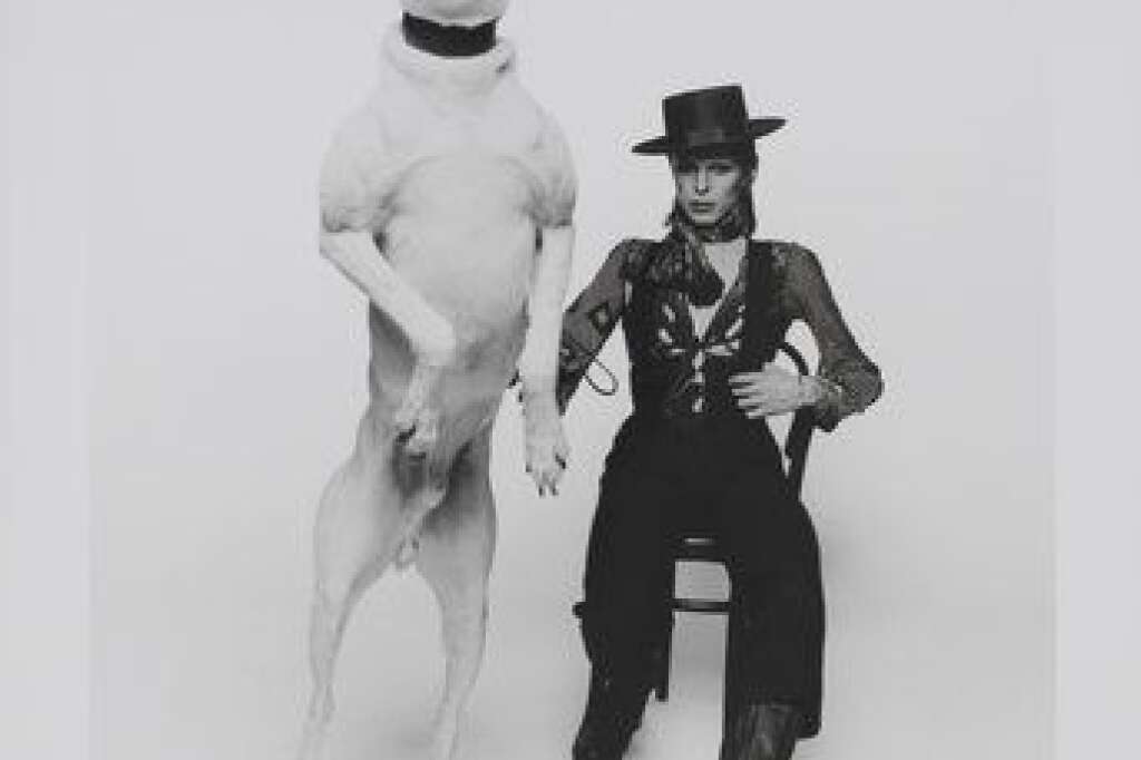 - <br>Photographie de presse pour l’album Diamond Dogs, 1974. Photographie de Terry O'Neill