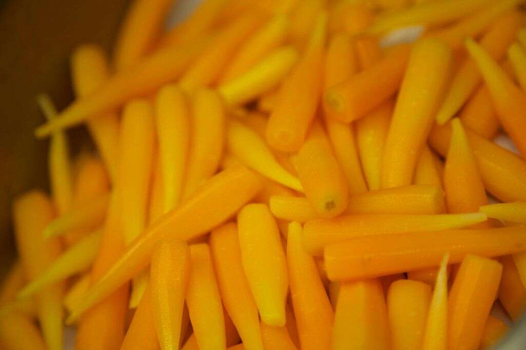 Cuire ses carottes - D'après Jo Robinson, les carottes sont les plus nutritives lorsqu'elles sont cuites. Leur niveau de falcarinol, un pesticide naturel aux vertus anticancéreuses, est alors plus élevé de 25%