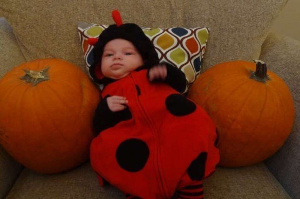 Little Lady Bug - <a href="http://www.huffingtonpost.com/social/entrepreneursdaughter"><img style="float:left;padding-right:6px !important;" src="http://s.huffpost.com/images/profile/user_placeholder.gif" /></a><a href="http://www.huffingtonpost.com/social/entrepreneursdaughter">entrepreneursdaughter</a>:<br />