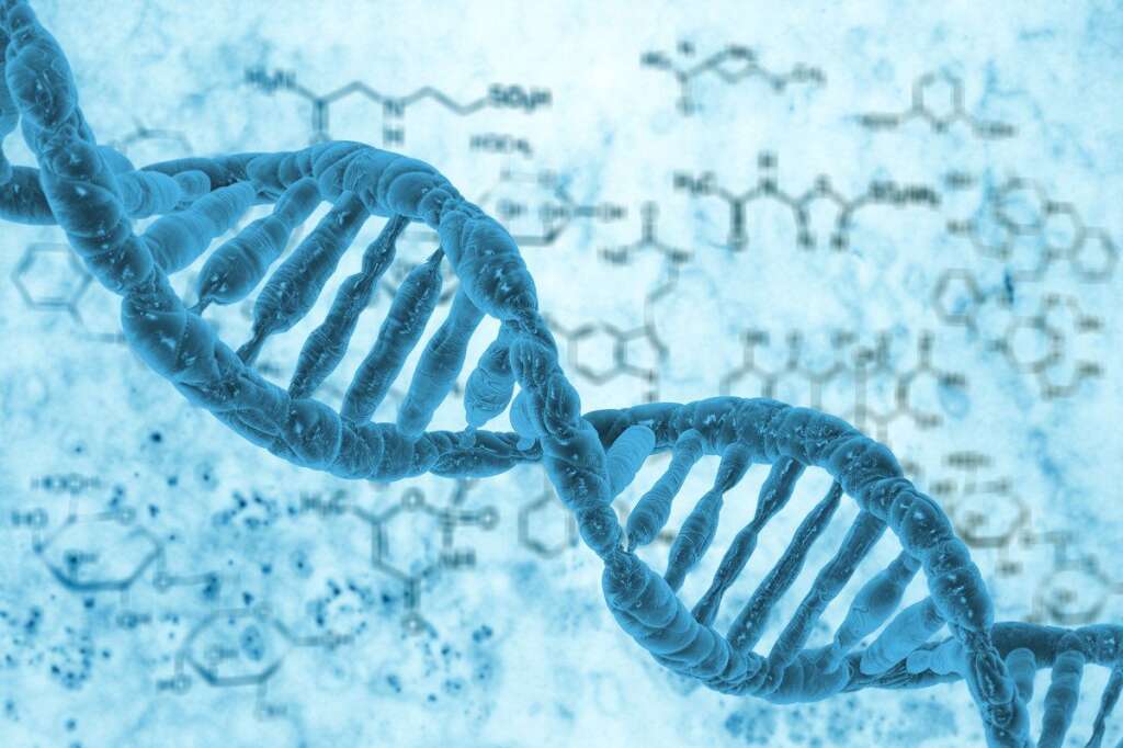 Ils modifient l'activité de nos gènes - Des scientifiques suédois ont démontré qu'effectuer une activité physique avait un impact sur l'expression de nos gènes dans les cellules adipeuses, d'après une étude publiée sur la revue <a href="http://www.plosgenetics.org/article/info:doi/10.1371/journal.pgen.1003572" target="_hplink">Plos Genetics</a> et relayée par le blog <a href="http://promega.wordpress.com/2013/07/10/epigenetics-and-exercise/" target="_hplink">Promega Connections</a> . Ainsi faire son jogging dominical permet de faire ressortir particulièrement les bons gènes et inhiber les mauvais gènes qui constituent notre organisme.  Pour réaliser la portée de cette avancée, il faut comprendre comment fonctionne <a href="https://fr.wikipedia.org/wiki/%C3%89pig%C3%A9n%C3%A9tique" target="_hplink">le mécanisme épigénétique</a>. Un nom un peu barbare pour expliquer que le comportement d'un individu et son environnement ne sont pas sans conséquence dans l'expression de ses gènes. Par exemple la qualité de l'air ou nos habitudes alimentaires affectent la manière dont nos cellules interprètent notre ADN.   Toutefois, il ne faut pas faire de confusion. Ces changements ne perturbent pas notre séquence ADN mais la manière dont les cellules transmettent ces données dans les différents tissus de notre corps.