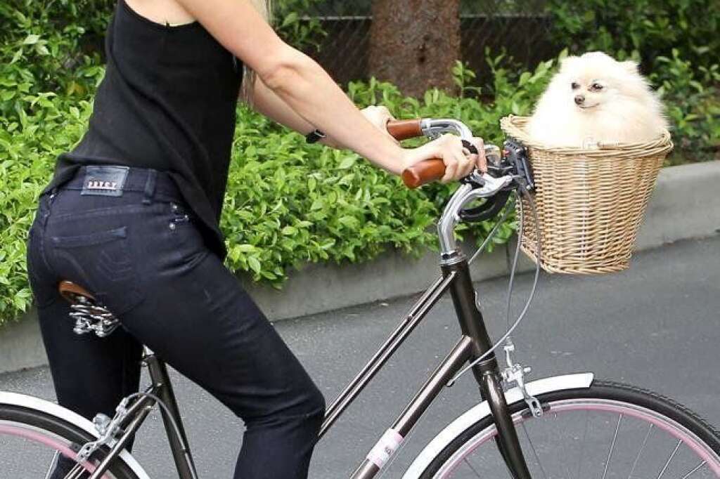 Paris Hilton - La jet-setteuse a emmené l'un de ses chiens adorés en promenade et en a profité pour travailler sa pose à bicyclette. La star avait opté pour l'occasion pour des baskets Chanel.