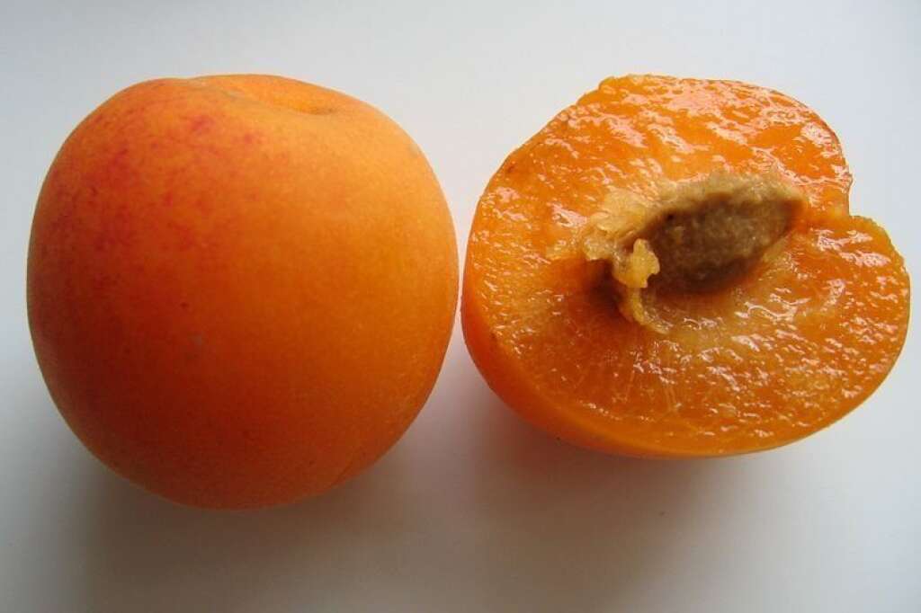 Le plumcot - Avant le pluot, le plumcot. Le "plumcot" ("plum", pour la prune et "cot" pour l'abricot) est tout simplement l'ancêtre du pluot. Une première génération de fruit hybride qui a été jugée trop difficile à cultiver et à exporter.
