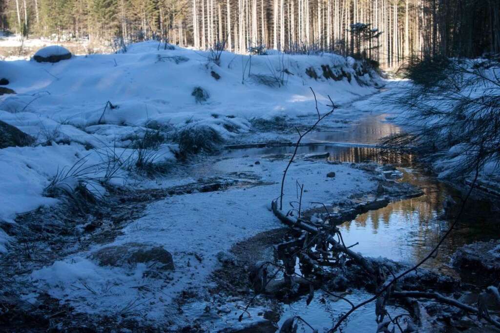 La Suède: Gérardmer dans les Vosges - Lac et résineux, denses forêts et montagnes, neige en hiver et randos sportives en été : le massif des Vosges est l’un des coins de France qui fait le plus penser à la Suède.  <a href="http://www.gerardmer.net/" target="_blank">Gérardmer</a> (prononcez « Gérarmé ») est surnommé « la perle des Vosges ». Cette station de ski, bien agréable également en été, est l’épicentre de la vallée des Lacs, la reine de la Vologne et la capitale de la jonquille ! La ville possède aussi de gros chalets bien typiques étagés sur ses coteaux.  N’hésitez pas à explorer les alentours avec des perles comme les lacs de Longemer et de Retournemer, ou les cascades de Tendon.