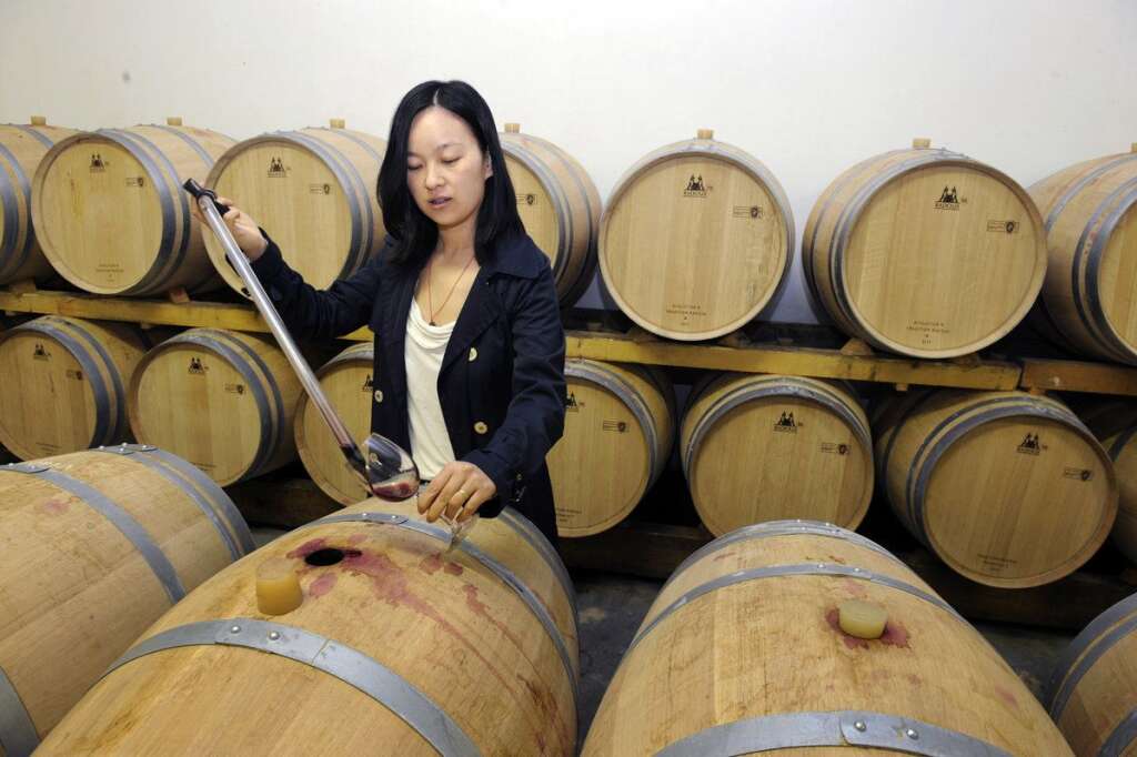 8. Diva Bordeaux - 30 millions d'euros - En 2012, le leader chinois de l'agroalimentaire SSCW entre au capital de Diva Bordeaux, négociant en grands vins de Bordeaux. Il est détient 70%, acquis pour environ 30 millions d'euros.