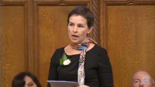 Labour MP and environment committee chair Mary Creagh: 'The effects of air pollution tend to be magnified in poorer groups'