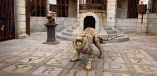 Les (vrais) tigres occupaient la mythique salle du trésor depuis la création du jeu TV en 1990. Ils sont remplacés cette année par des images de synthèse.