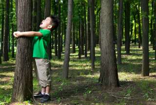 L'école de la forêt propose des activités pour connecter avec la nature.