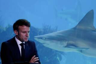Ces photos de Macron devant des requins ont inspiré des légendes ironiques