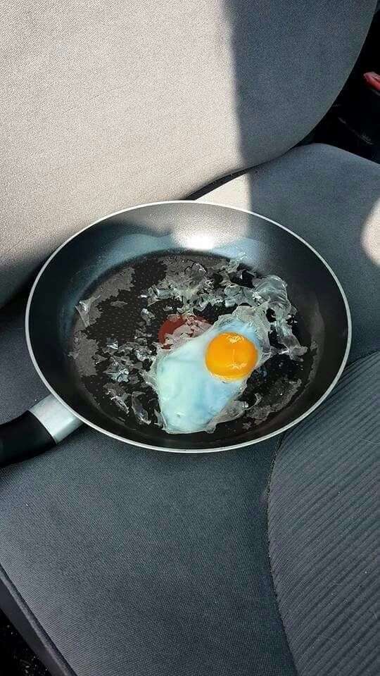 Cet œuf cuit dans une voiture montre qu'il est dangereux d'y laisser son  chien