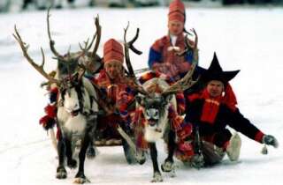 Des rennes tirant un traîneau de nomades Sami en février 2016.