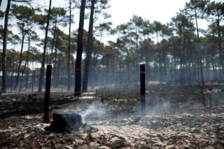 Une forêt de La Teste-de-Buch ravagée par les incendies, le 21 juillet 2022 REUTERS/Benoit Tessier