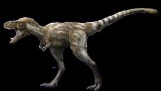 Un tyrannosaure âgé de quatre ans, modélisé par le Muséum d'histoire naturelle de New-York.