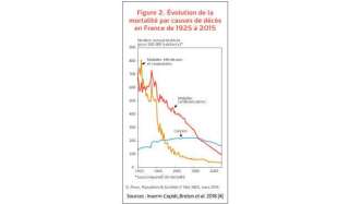 L'évolution des causes de mortalité en France de 1925 à 2015.