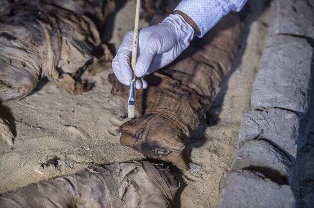 Un archéologue nettoie un chat momifié à Saqqara, le 10 novembre.