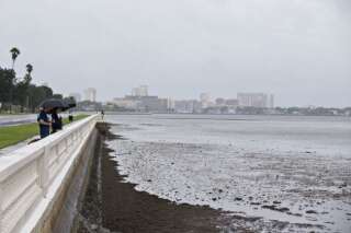 La baie de Tampa, où l'eau a reculé de plusieurs mètres