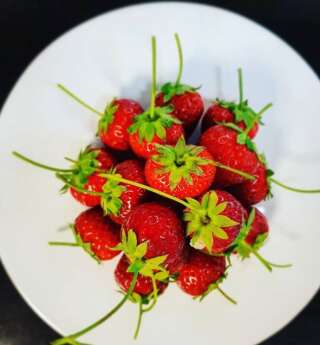 Gourmandes petites fraises.