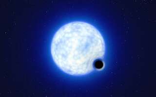 Un trou noir de masse stellaire à l'état dormant, qui tourne autour d'une autre étoile, a été découvert par des scientifiques.