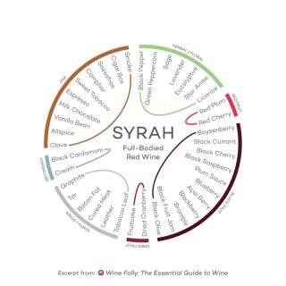 Profil aromatique de la syrah produit par le site WineFolly.com - de Fabrizio Bucella