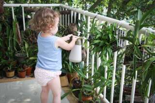 Watering my orchid collection, on Lamma Island.