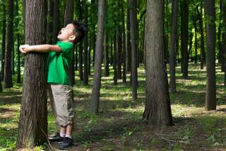 5 activités pour les enfants à faire en pleine forêt