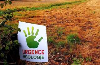 urgence ecologie