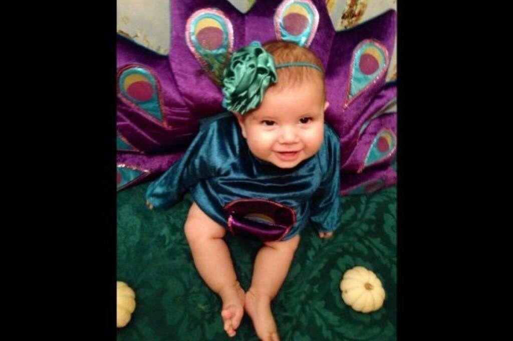 Peacock Princess on her first Halloween! - <a href="http://www.huffingtonpost.com/social/SKVF"><img style="float:left;padding-right:6px !important;" src="http://s.huffpost.com/images/profile/user_placeholder.gif" /></a><a href="http://www.huffingtonpost.com/social/SKVF">SKVF</a>:<br />Violet, 6.5 months old.