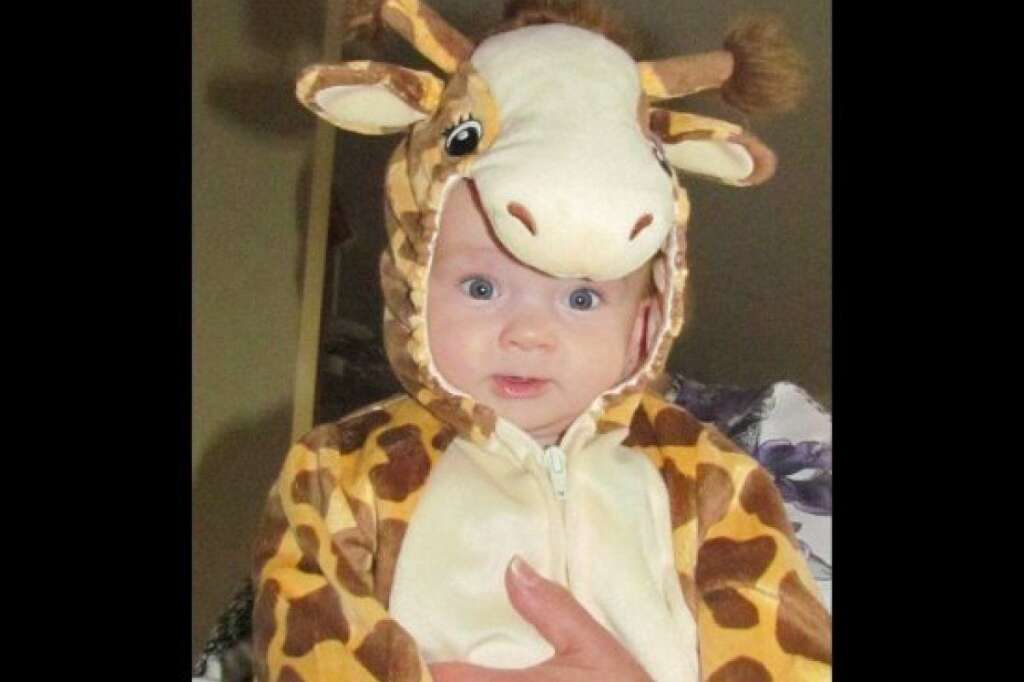 Cutest giraffe ever! - <a href="http://www.huffingtonpost.com/social/Lisa_Sontheimer"><img style="float:left;padding-right:6px !important;" src="http://graph.facebook.com/1575315365/picture?type=square" /></a><a href="http://www.huffingtonpost.com/social/Lisa_Sontheimer">Lisa Sontheimer</a>:<br />