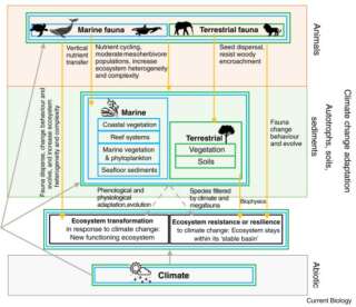 Présentation de l'apport des grands animaux dans l'atténuation du changement climatique au sein des écosystèmes.