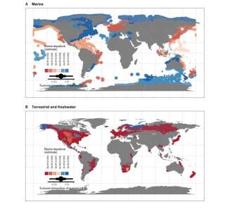 Le remplacement des espèces au sein des écosystèmes est plus important dans les océans.